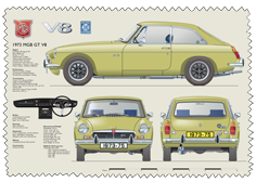 MGB GT V8 1973-75 Glass Cleaning Cloth